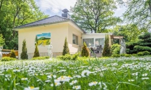 Ferienhaus Kurt Elbingerode (Saxony-Anhalt)